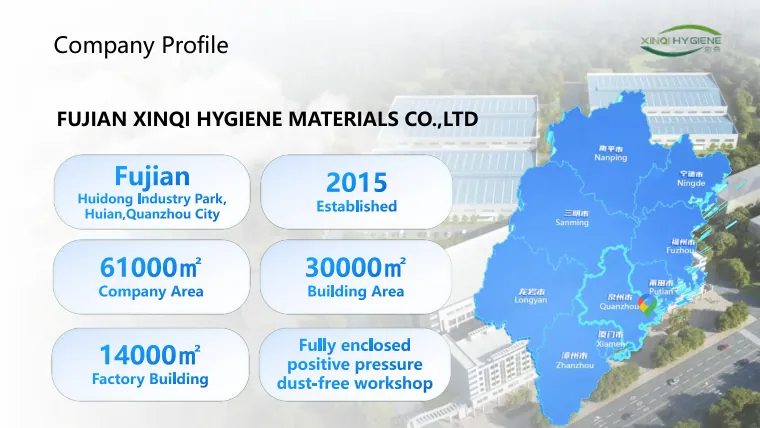 Company profile page of the Xinqi Hygiene catalog showing the plant layout and warehouses