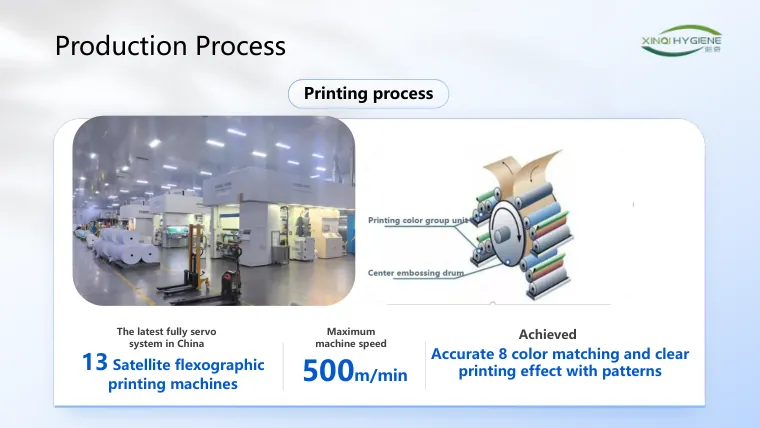 Printing process page of the Xinqi Hygiene catalog showing satellite flexographic printing machines